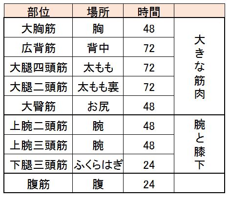 筋トレ後の部位ごとの筋肉回復時間の解説｜学術論文等読んだ結 